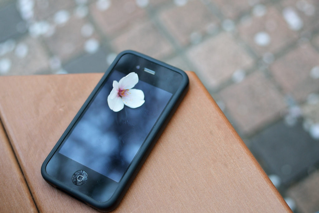 iPhone-with-sakura