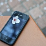 iPhone with sakura