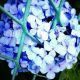 「楽しく続ける」とは？